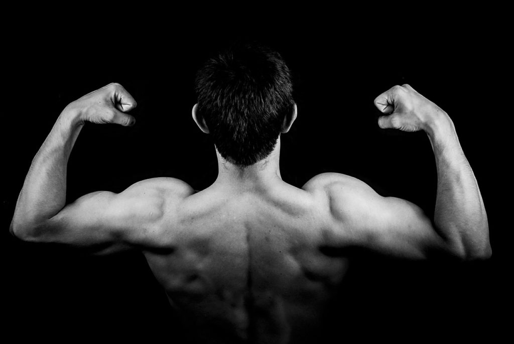 trabajar los grupos musculares de manera equilibrada trabajar los grupos musculares de manera equilibrada